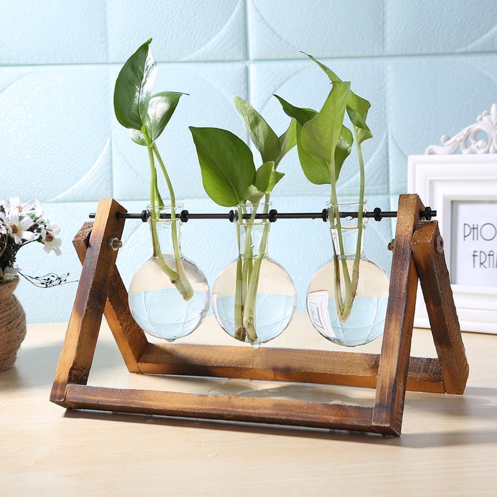 Avenue Glass Propagation Vase with Wooden Stand